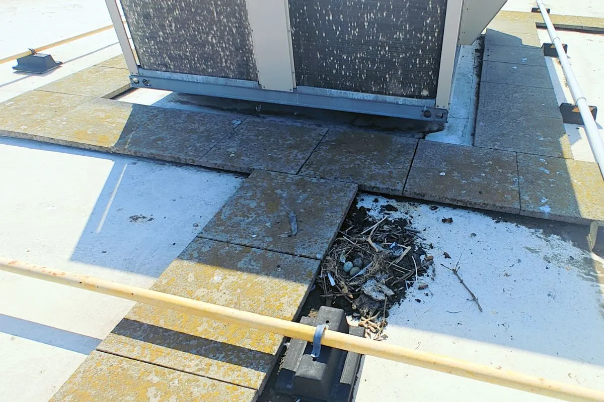 Structural Roof Damage Assessment Memphis TN